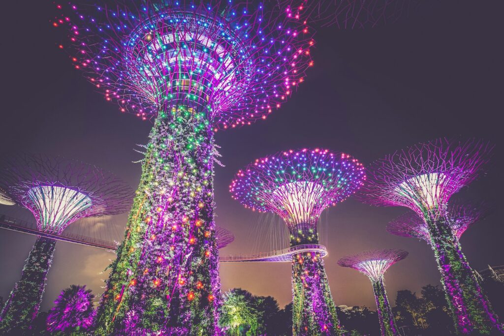 multicolored lights on posts